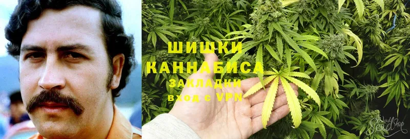 МАРИХУАНА SATIVA & INDICA  Каргат 